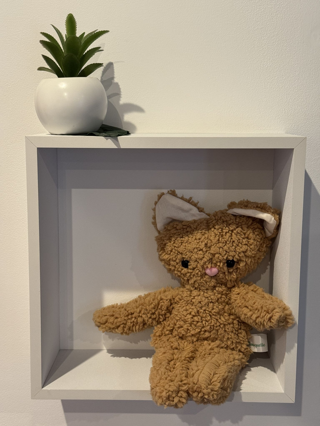 Lily chat moumoute marron