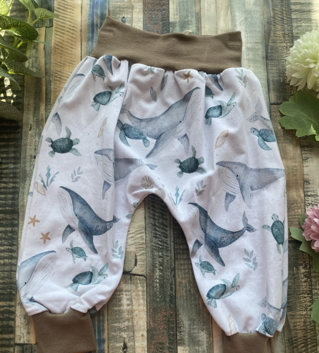 White Sea Life Harems 0-3m