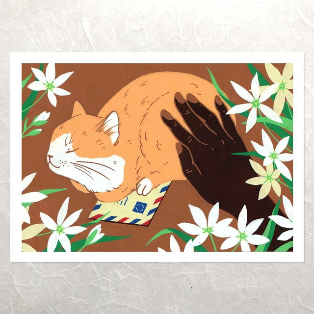 Letter writers - Nap At Noon - Ornithogalum Umbellatum