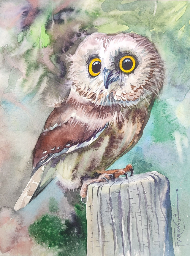 Sówka, 35x28 (24x18 w świetle passe-partout) akwarela 2025