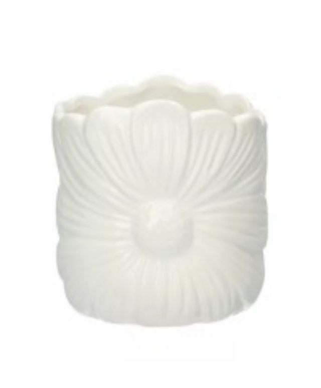 Maceta flor blanca