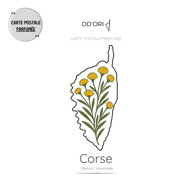 Carte postale PARFUMÉE - Corse / Immortelle