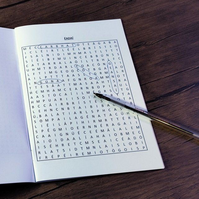 Leabhar Cuardach Focal (Leibhéal 2) - Crossword Book 