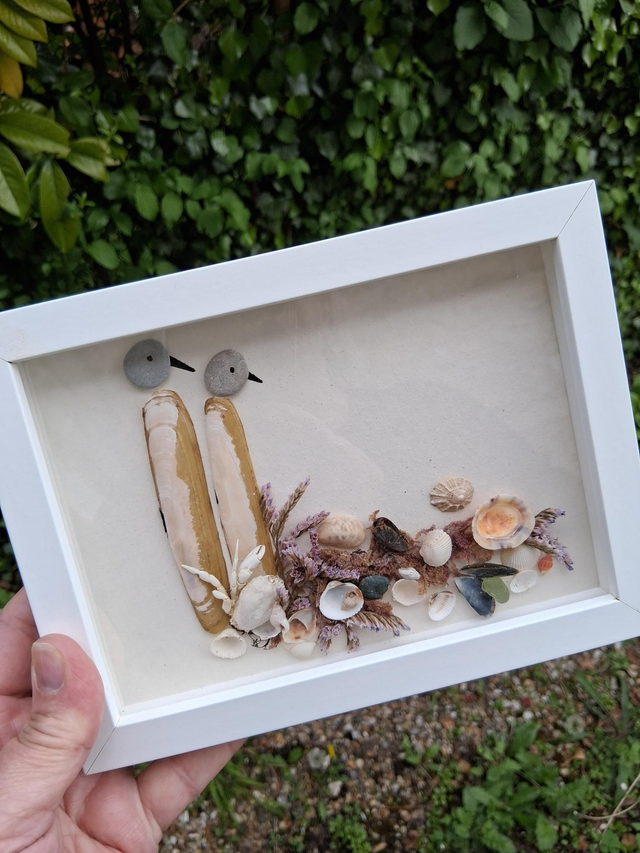 Cadre oiseaux bord de mer