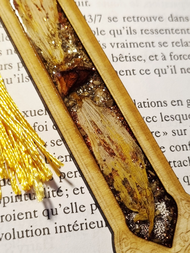 Marque-Grimoire #15 Tournesol, marjolaine et badiane