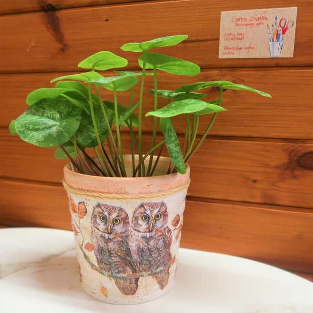 Decoupage Planter
