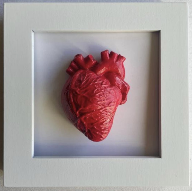 5 cuoricini anatomici