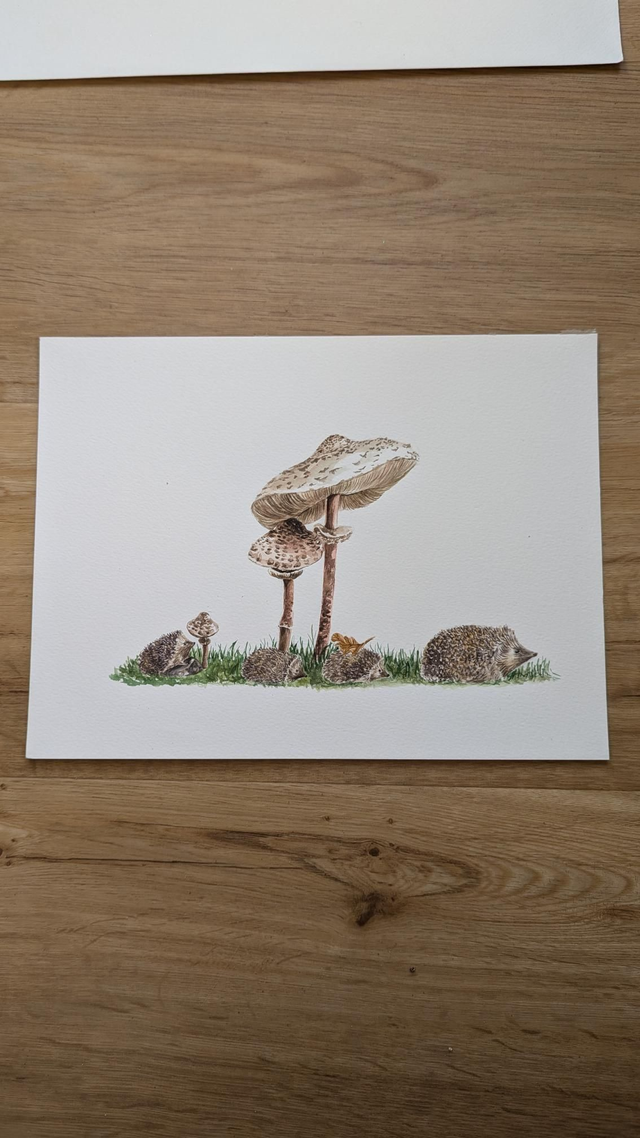 Famille hérissons et coulemelles 