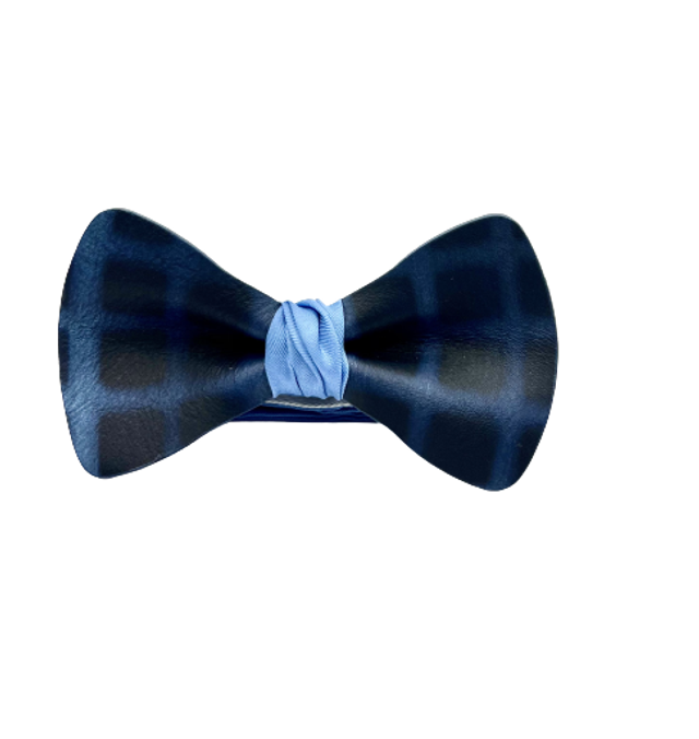 R&#039; noeud Terbaro Bleu Roi