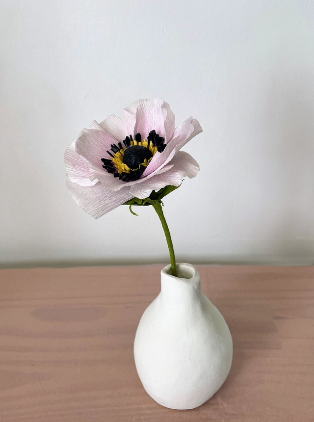 Anémone "Selma" avec son vase artisanal offert