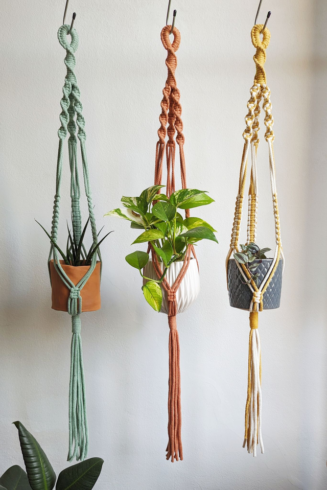 𝑃𝑜𝑟𝑡𝑎 𝑝𝑖𝑎𝑛𝑡𝑒 𝑐𝑜𝑛 𝟹 𝑐𝑜𝑟𝑑𝑒 - 𝑣𝑎𝑟𝑖𝑎𝑛𝑡𝑒