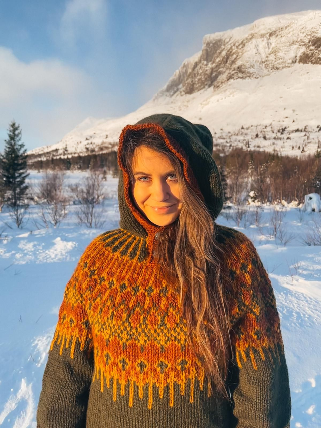 Føyka Polar Sweater Kit - Col 13 (Hunter Green, Hooded, Troll and Blåne) - Wool & Pattern - Linka Neumann
