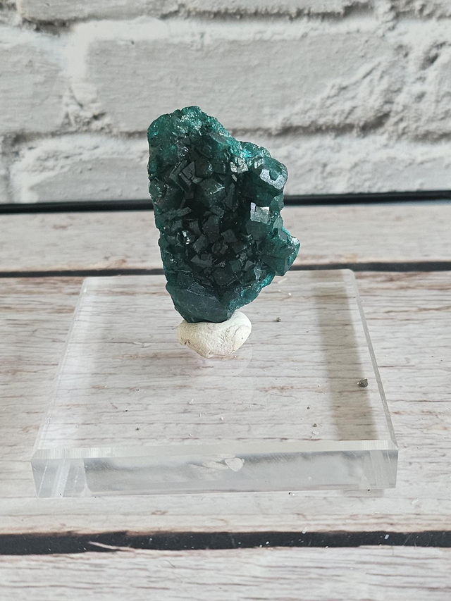 Dioptase du Congo – 15,7 g (avec socle acrylique)