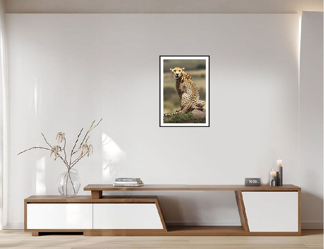 Guépard - réserve Masaï Mara - Kenya - ref: k-1478