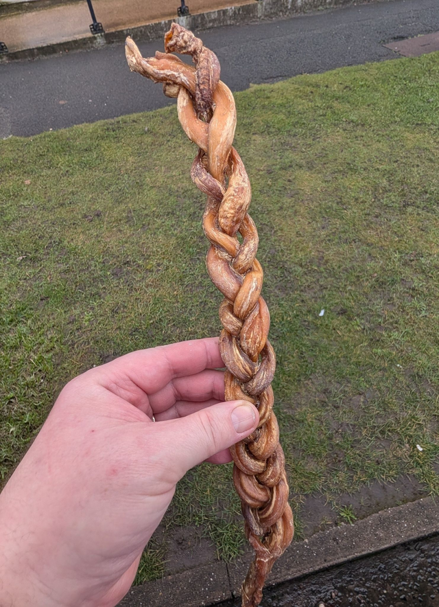 Braided Pizzle (35cm) 