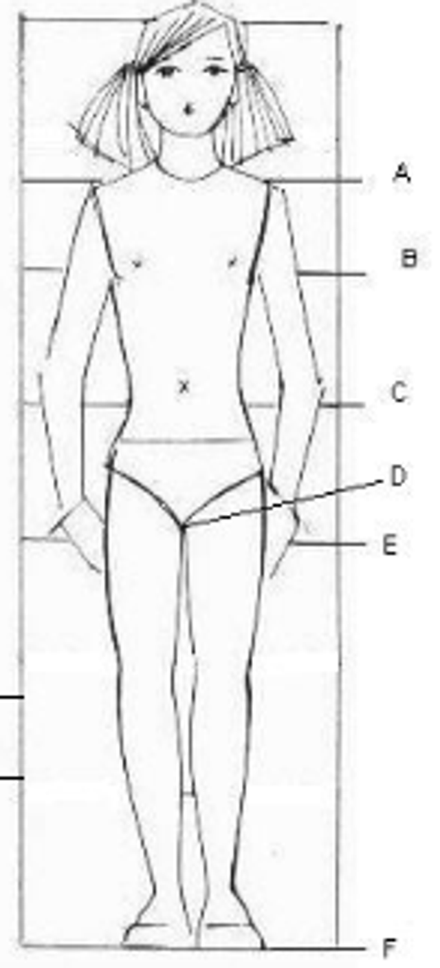 Middle / Upper School Leotard