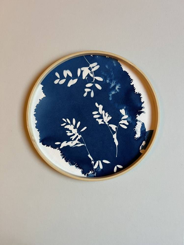 Cyanotype fleuri