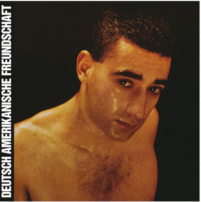 Deutsch Amerikanische Freundschaft DAF Alles Ist Gut (Vinyl)