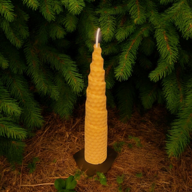 1 x Bienenwachskerze Waben-Kerze | 14x Ø 3cm direkt vom Imker | 100 % Bienewachs