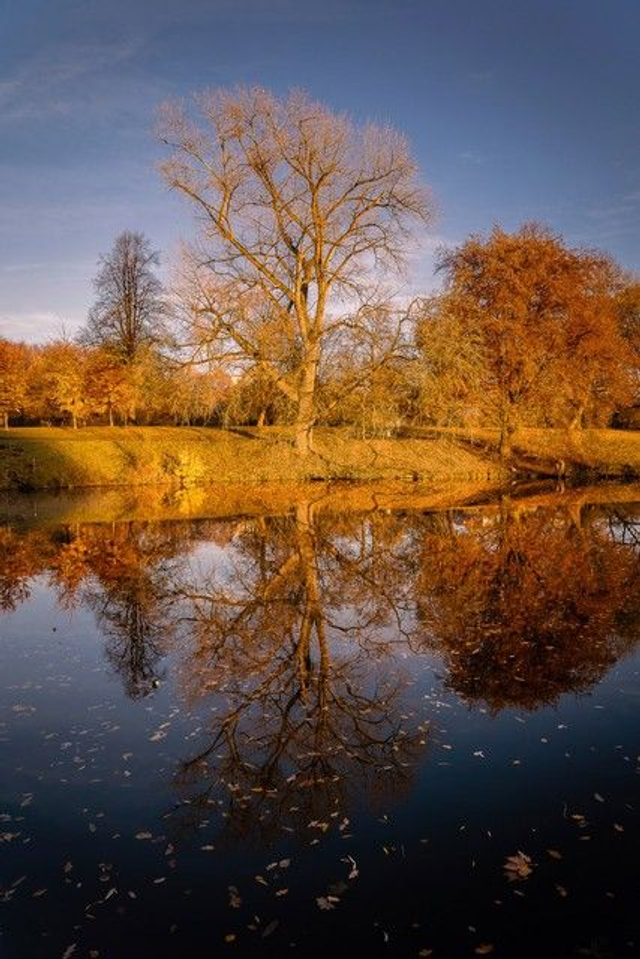 Herbstspiegelung am Aasee