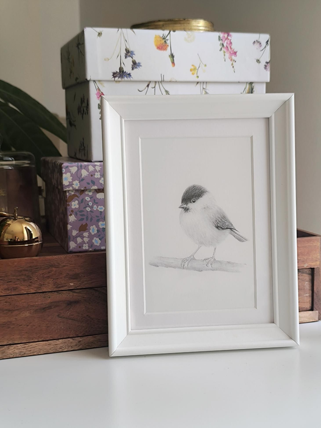 Marsh tit -giclèe print