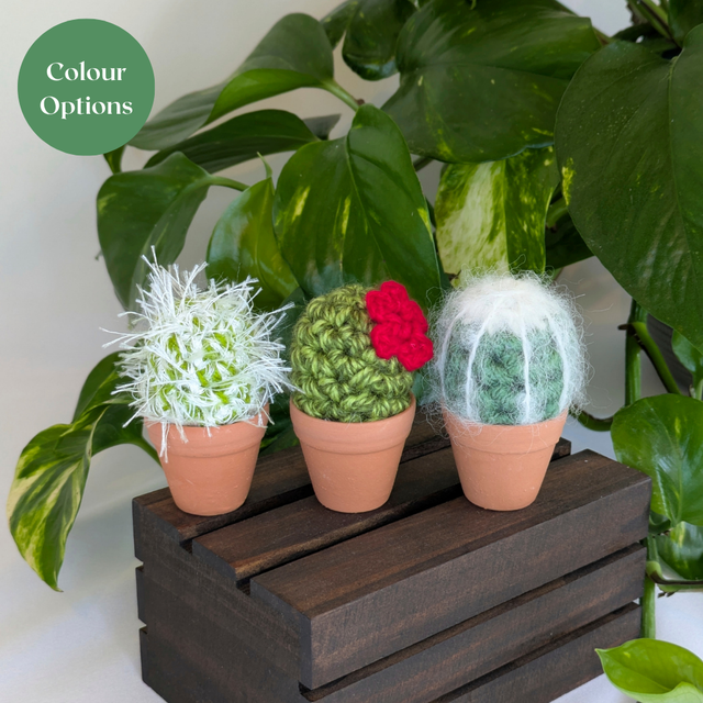 Set of Three Mini Crochet Cacti