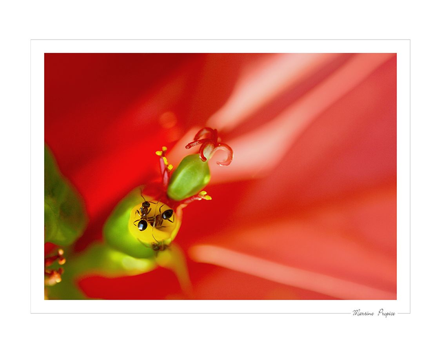 C230 - recherche de gourmandises