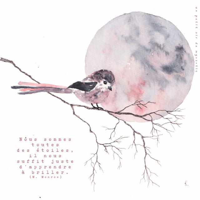 Cadre - Mésange à longue queue