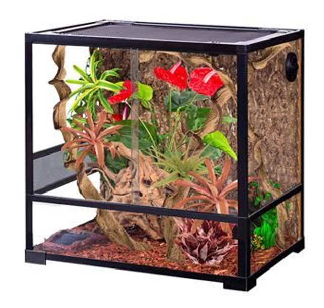 Reptiplanet Terrarium