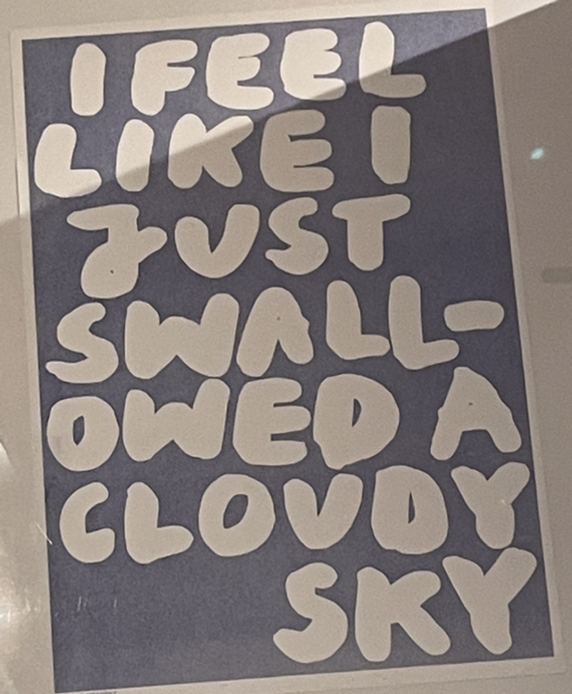 Swallowed A Cloudy Sky