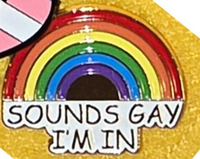 Sounds Gay I'm In Rainbow