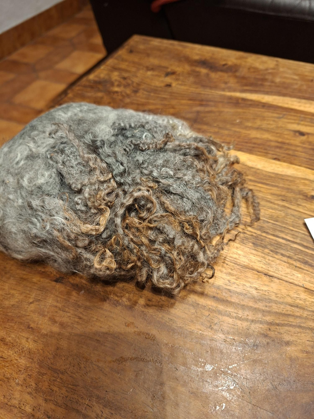 Gotland croisé 58g Boucles01104