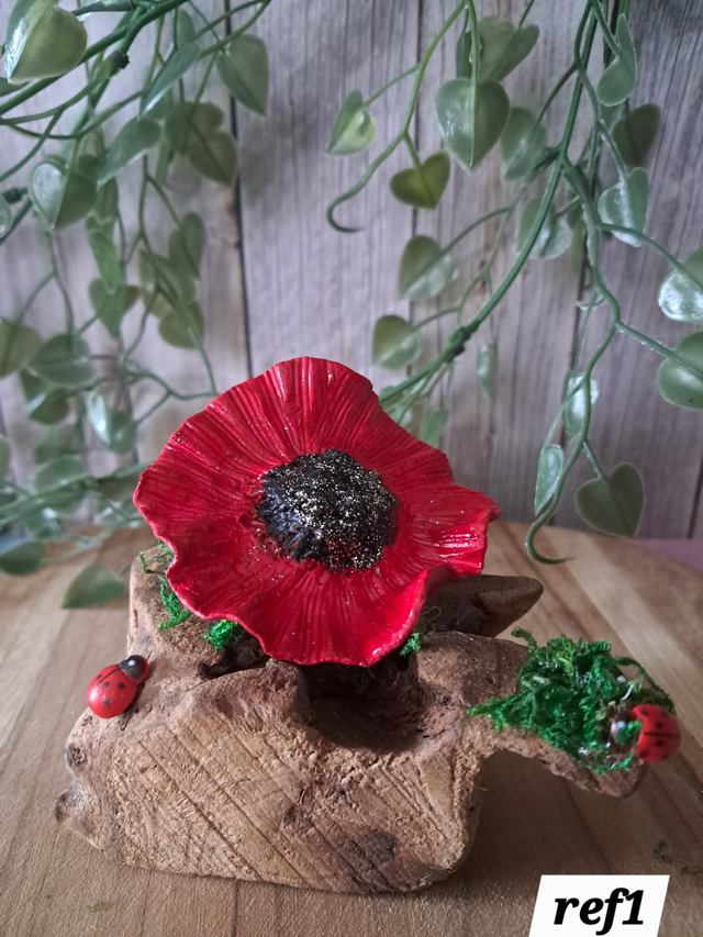 🌺 petit coquelicot sur bois flotté ref1