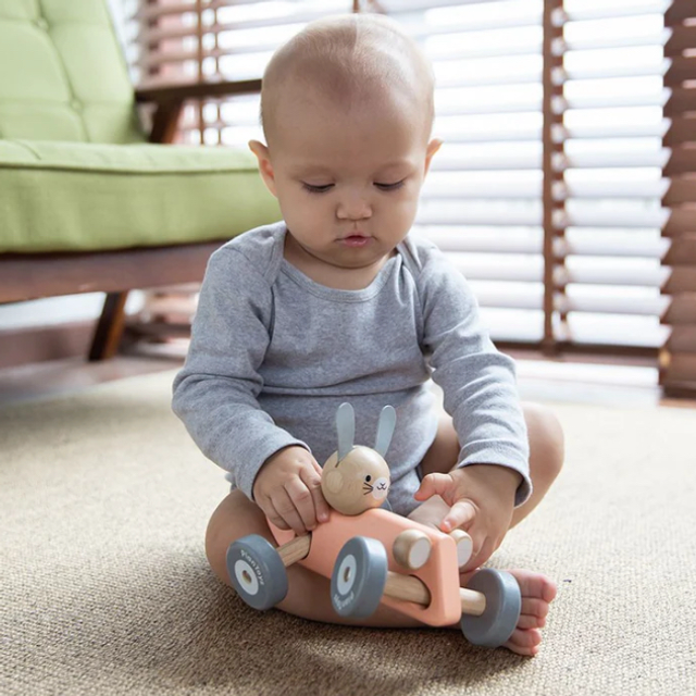 Bunny Racing Car Wooden Toy 