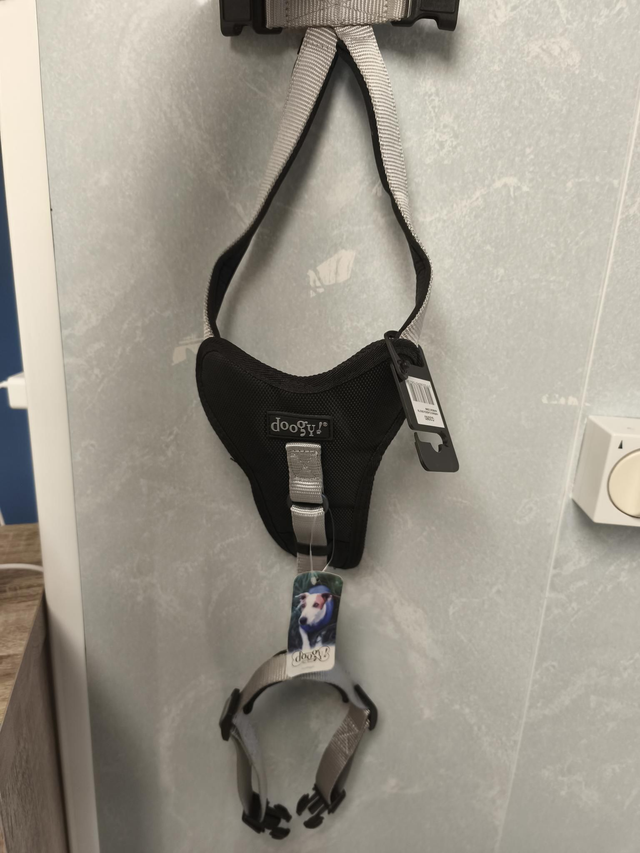 Harnais classic gris 46-66cm x 20mm