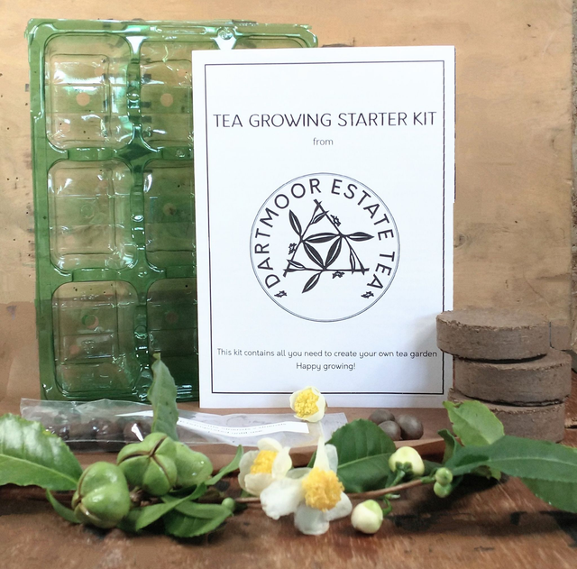 Tea Growing Starter Kit