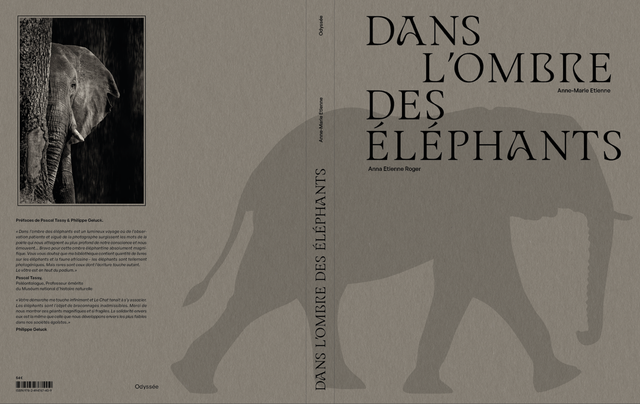 Dans l'ombre des éléphants