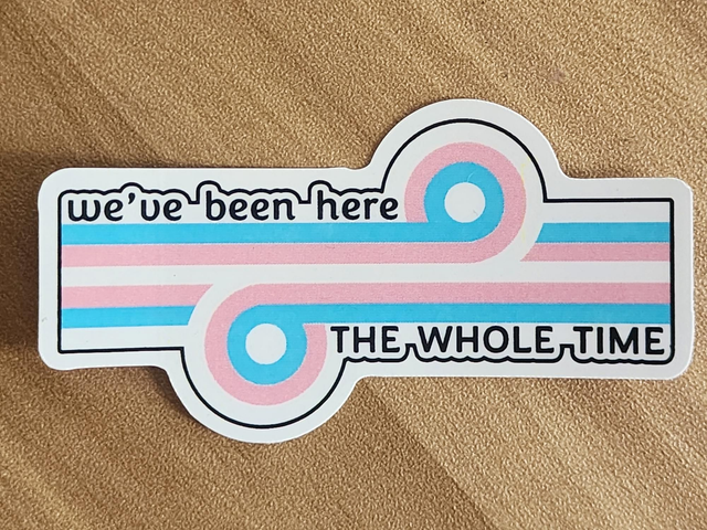 Clearance! - Game Changer "We've been here the whole time" Pride removable vinyl sticker