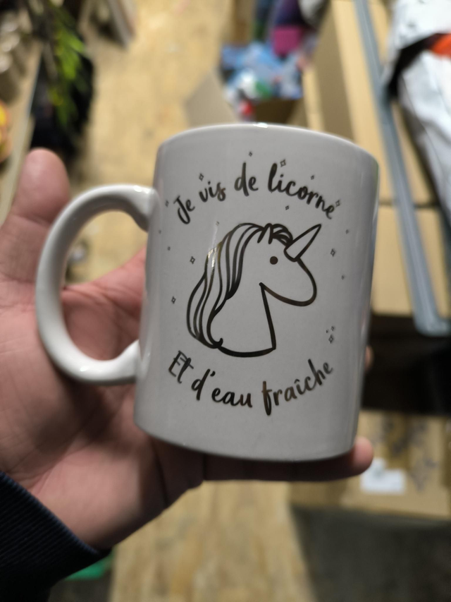 MUG JE VIS DE LICORNE ET D'EAU FRAÎCHE 