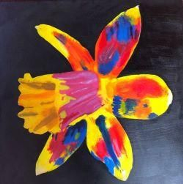 Vibrancy and Contrast