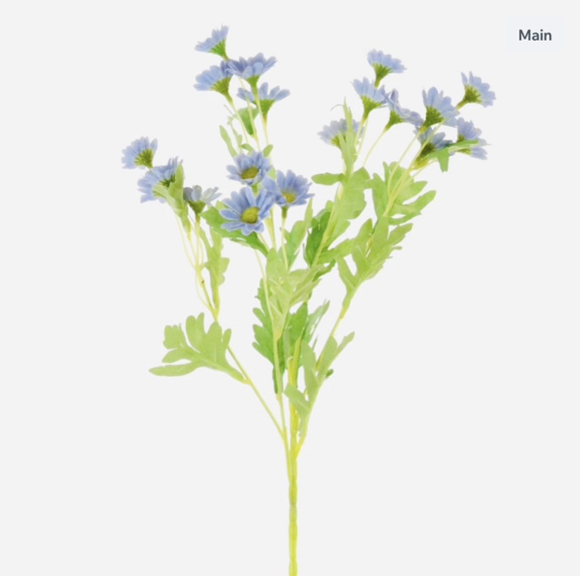 Wild daisy spray blue
