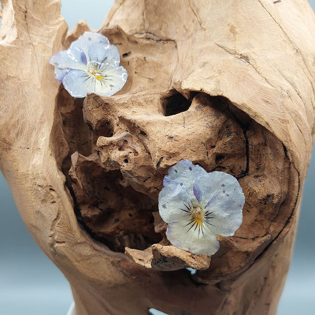  Boucles d’oreilles Pensées – Bijoux floraux faits main en résine brillante