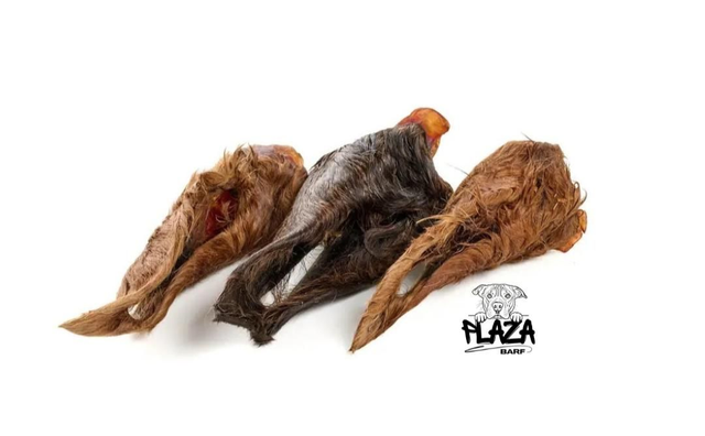 Orecchie di cavallo con pelo