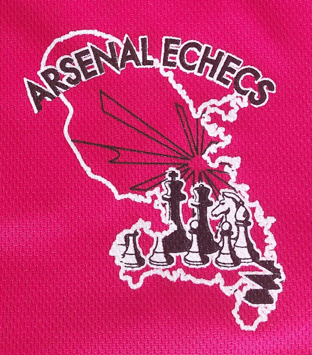 T-SHIRT ADULTE 100% POLYESTER