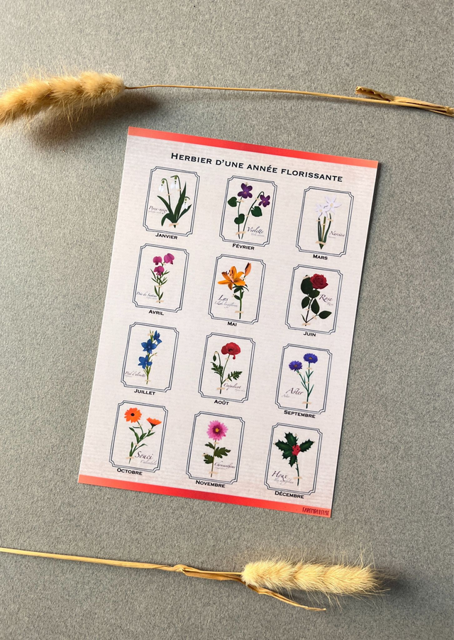 Affiche bonus. L'herbier d'une année florissante