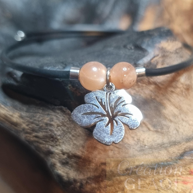 Hibiscus Pierre de Soleil