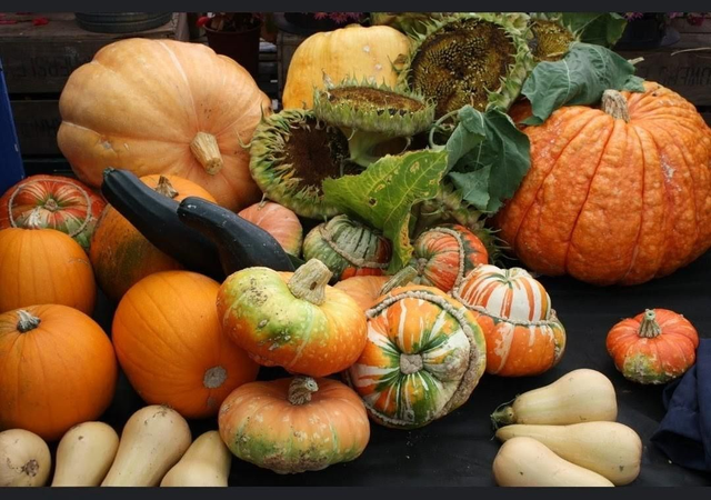 Pumpkin, squash (1 pumpkin or 2 squash)