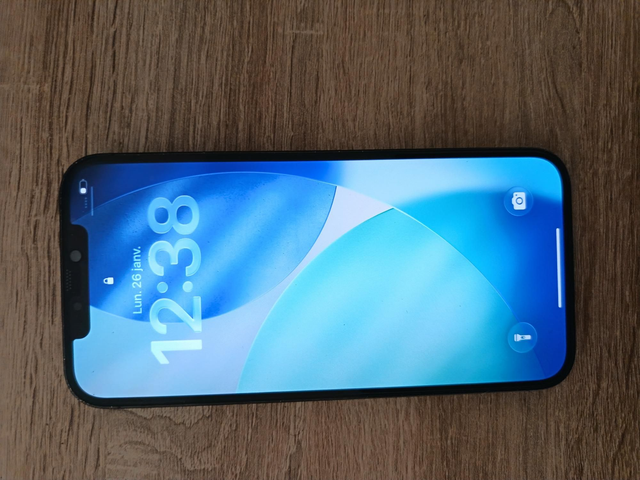 Iphone 12 pro max bleu