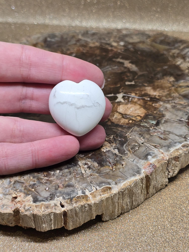 Howlite forme coeur 