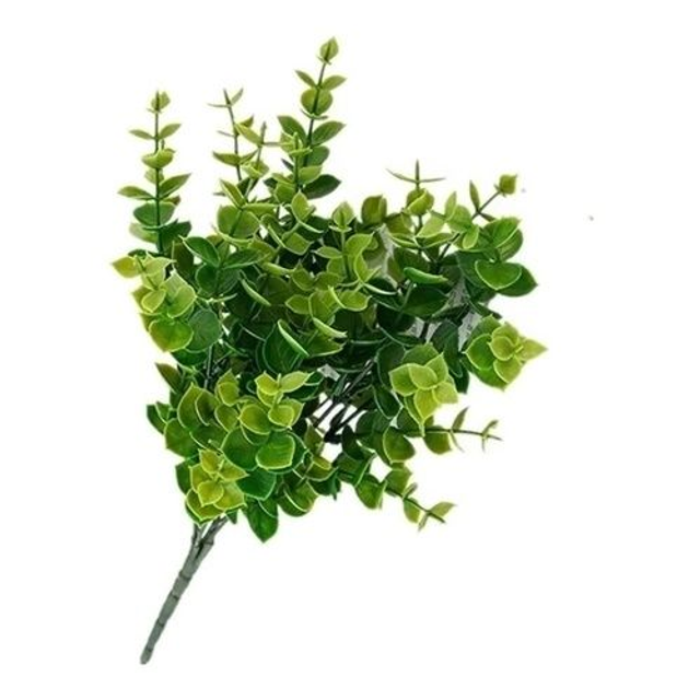 FOLHAGEM - LOCAÇÃO 